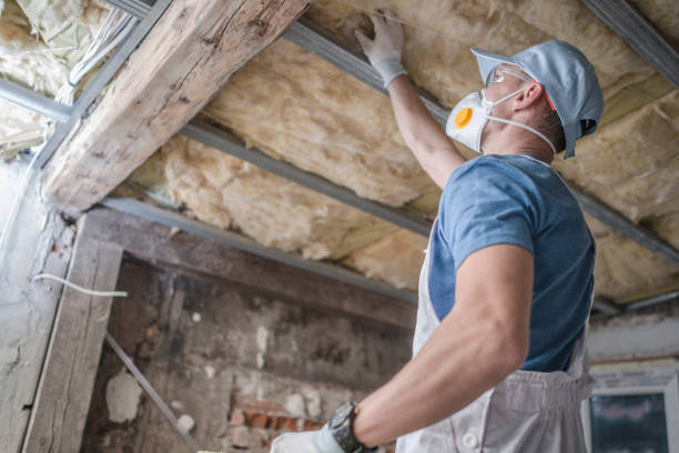 Insulation for New Construction in Polk City, IA