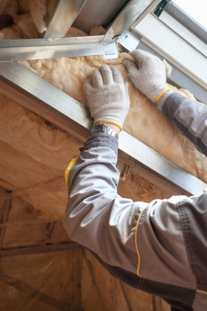 Best Energy-efficient Insulation  in Polk City, IA