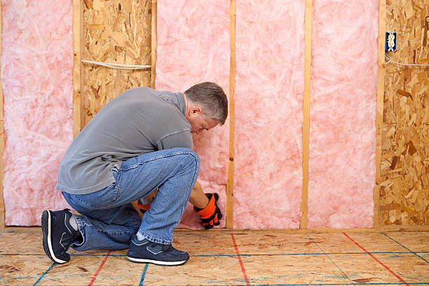 Best Residential Insulation Services  in Polk City, IA